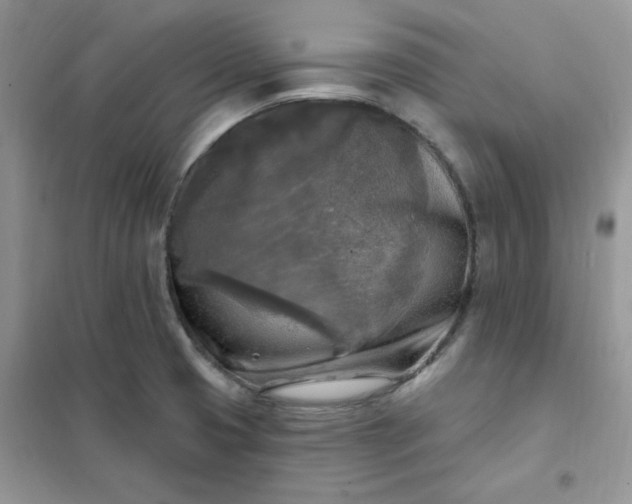 X0000102021425200808011413
