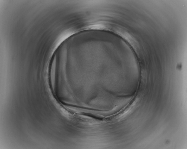 X0000102021426200808011413