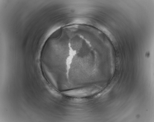 X0000102021427200808011413