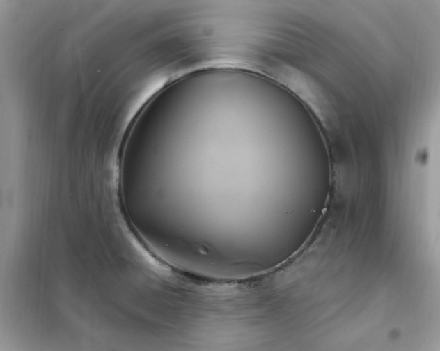 X0000102021428200808011413