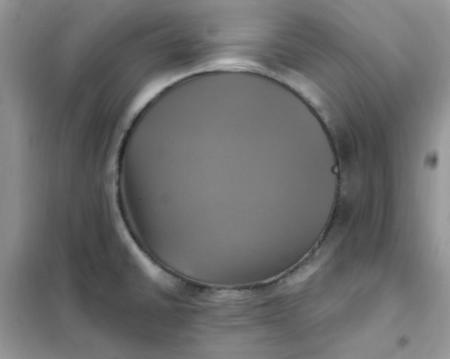 X0000102021430200808011413