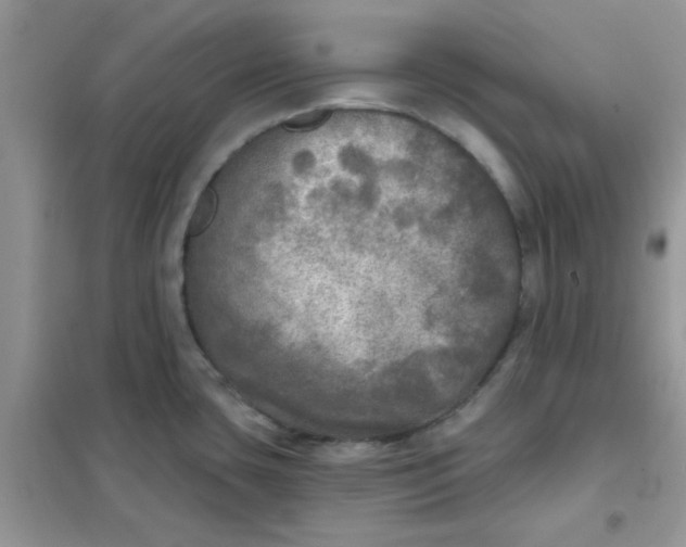 X0000102021435200808011413