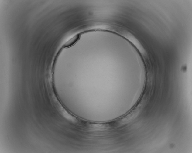 X0000102021436200808011413