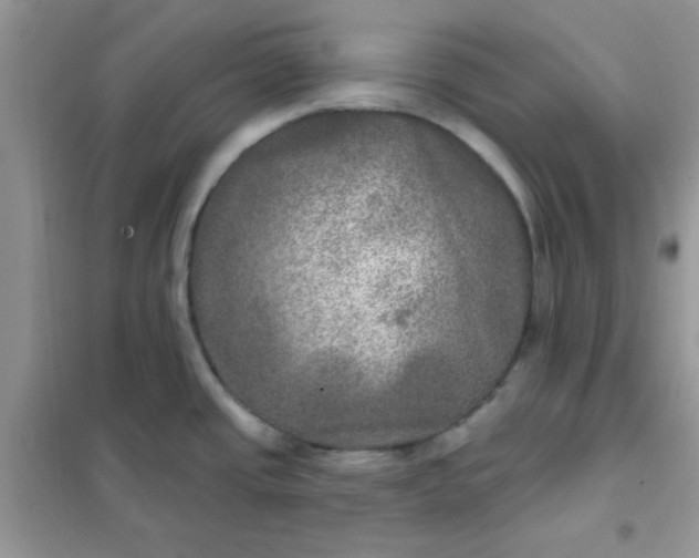 X0000102021437200808011413