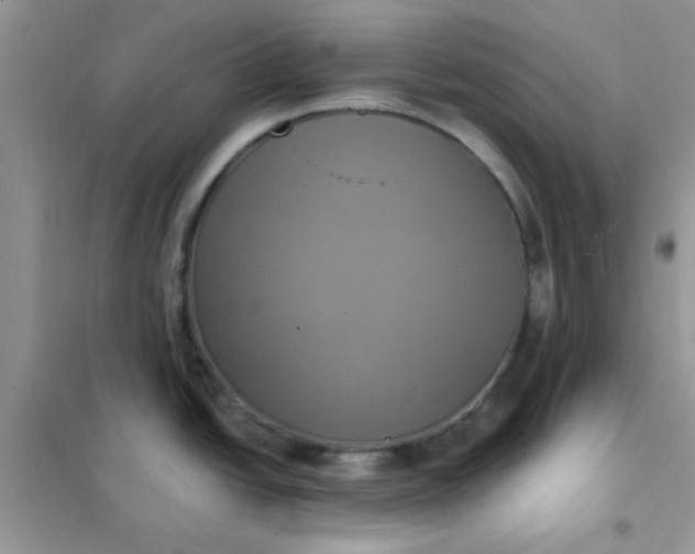 X0000102021438200808011413