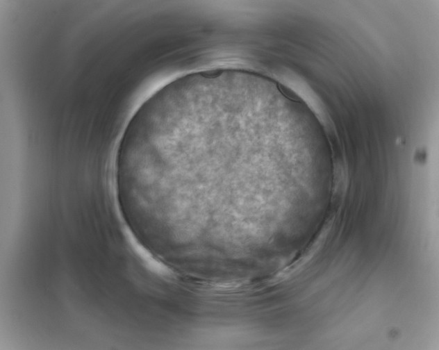 X0000102021439200808011413