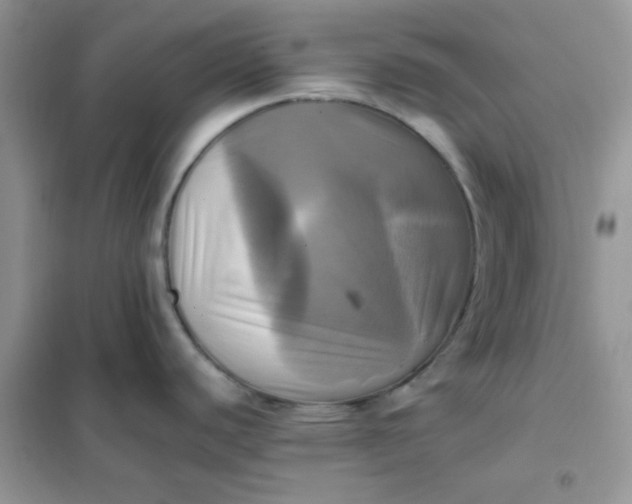 X0000102021440200808011413