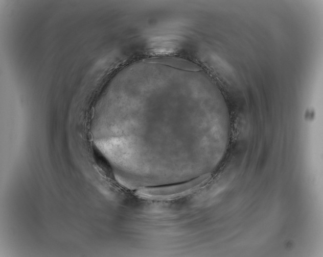 X0000102021441200808011413