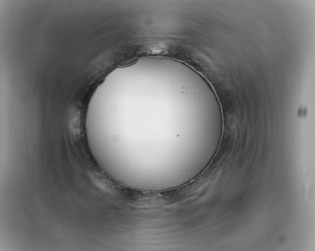 X0000102021442200808011413