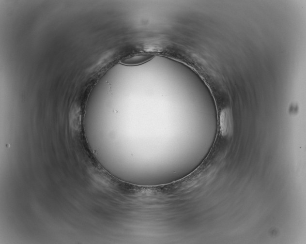 X0000102021443200808011413