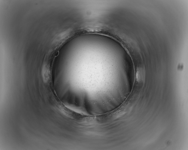 X0000102021444200808011412