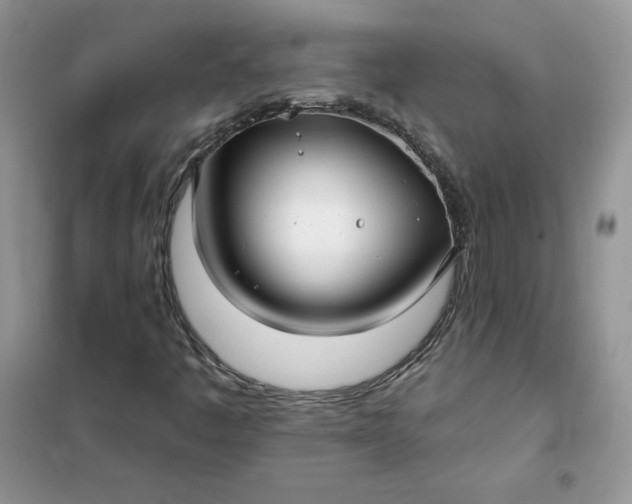 X0000102021445200808011412