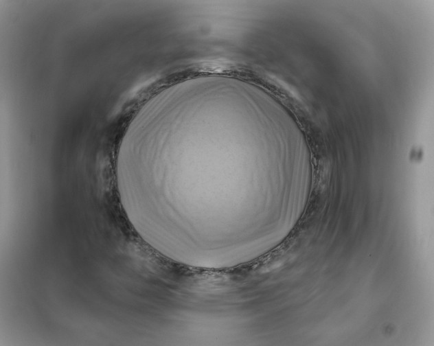 X0000102021446200808011412
