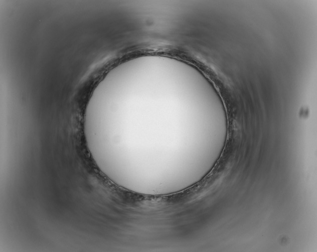 X0000102021447200808011412