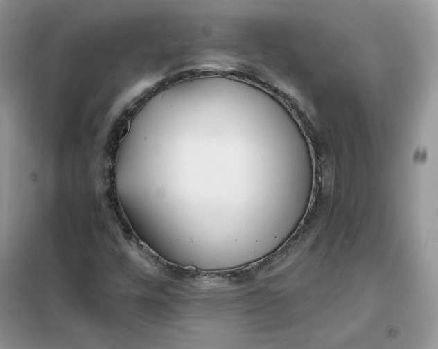 X0000102021448200808011412