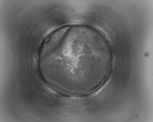 X0000102021449200808011412
