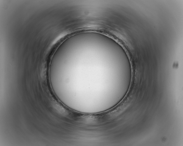 X0000102021450200808011412