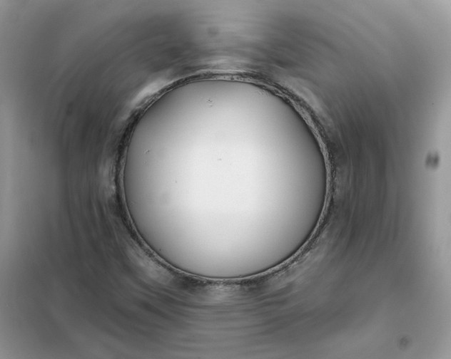 X0000102021451200808011412