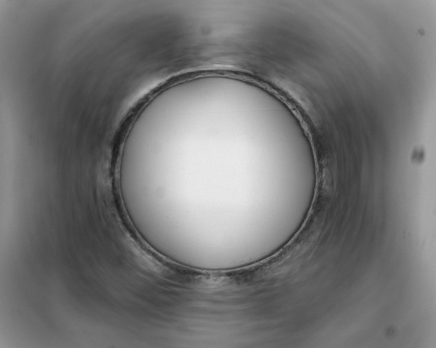 X0000102021452200808011412
