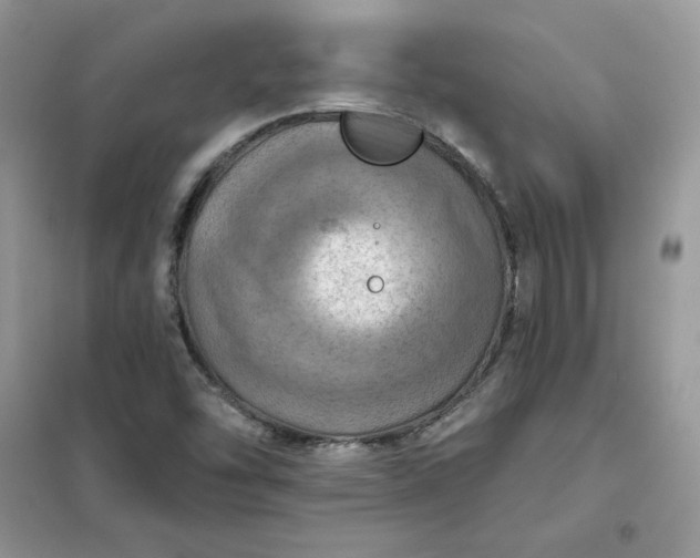 X0000102021454200808011412