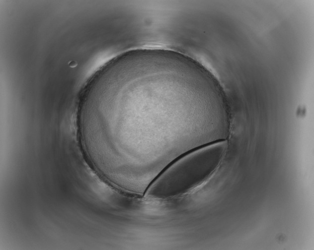 X0000102021456200808011412