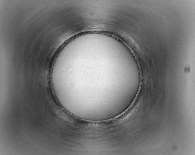 X0000102021457200808011412