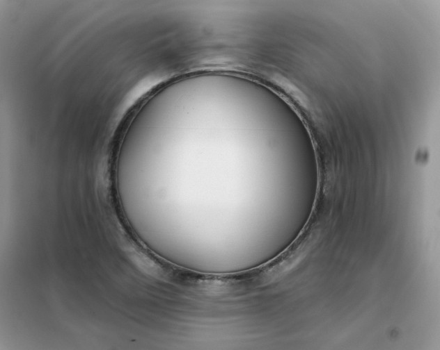 X0000102021458200808011412