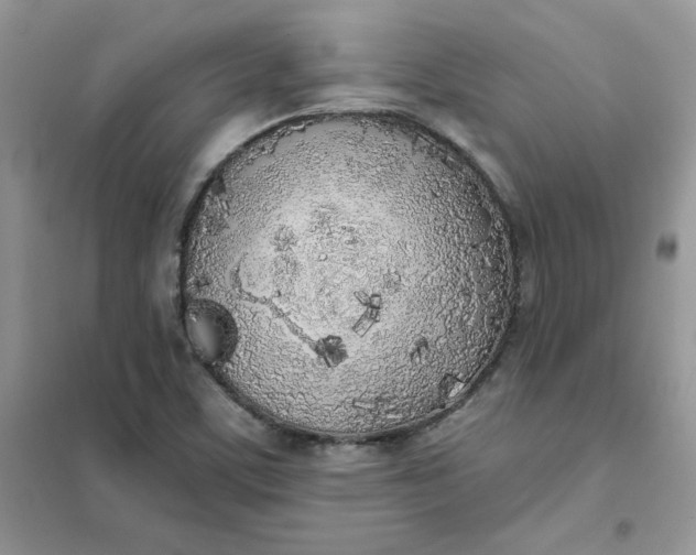 X0000102021459200808011412