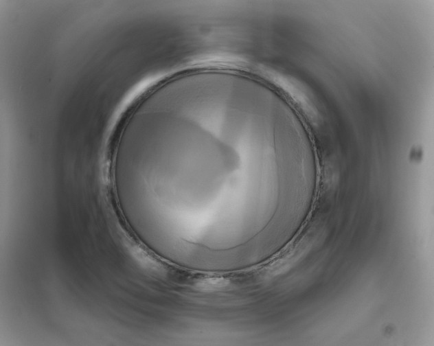 X0000102021462200808011412