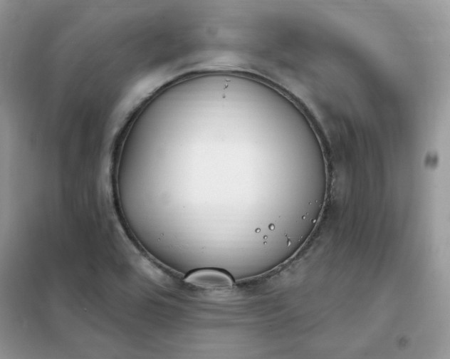 X0000102021464200808011412