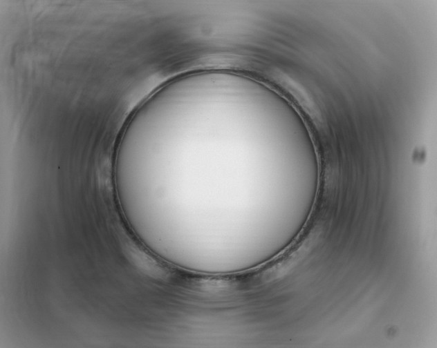 X0000102021465200808011412