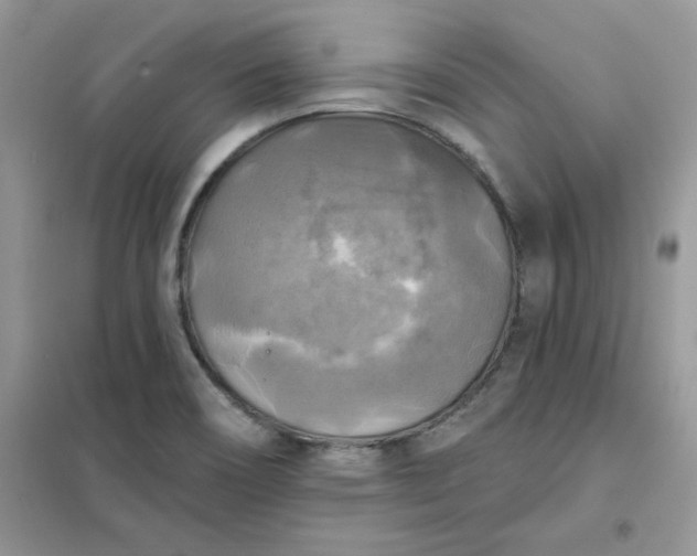 X0000102021466200808011412