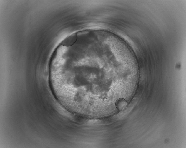 X0000102021467200808011412