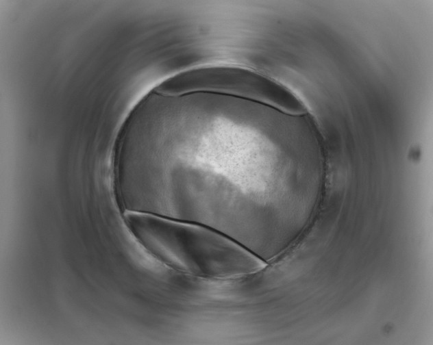 X0000102021468200808011412