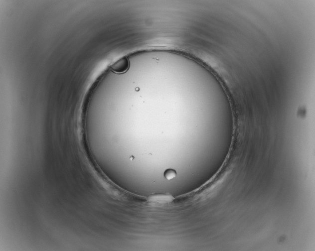 X0000102021469200808011412