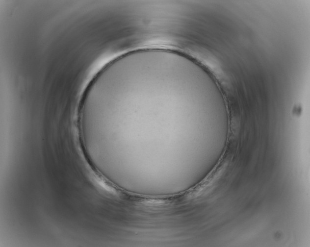 X0000102021470200808011412