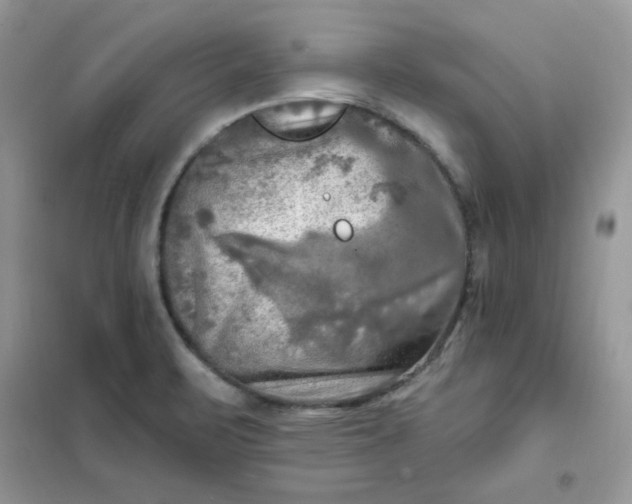 X0000102021471200808011412
