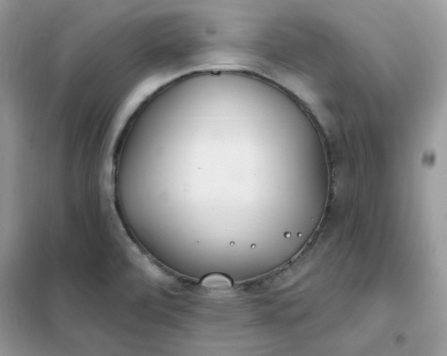 X0000102021472200808011412