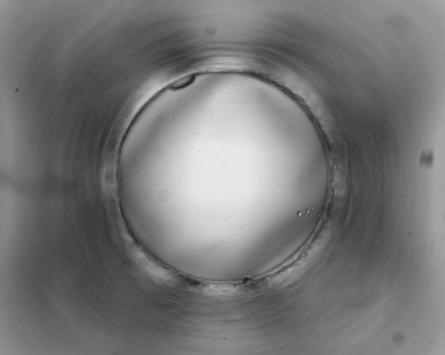 X0000102021473200808011412