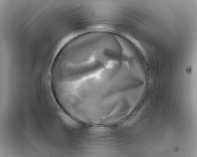 X0000102021474200808011412