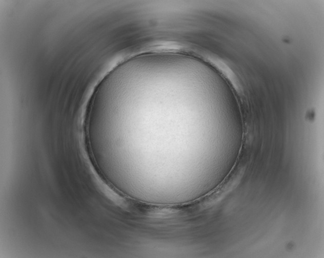 X0000102021475200808011412