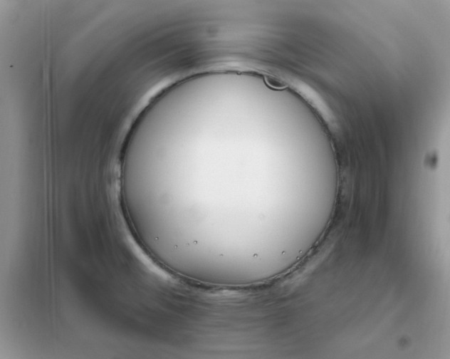 X0000102021476200808011412