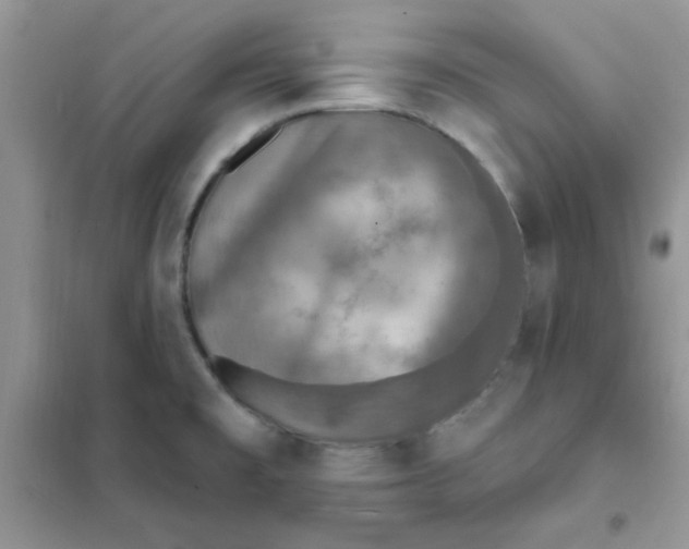 X0000102021477200808011412