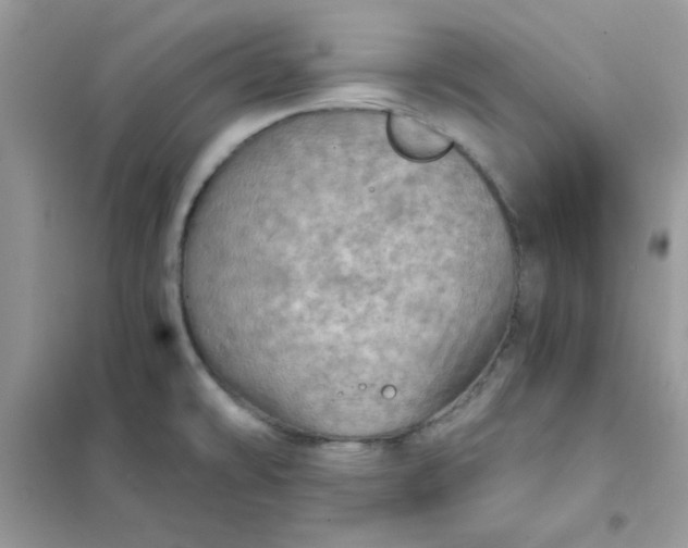 X0000102021478200808011412