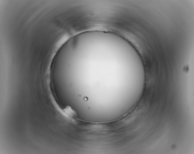 X0000102021479200808011412