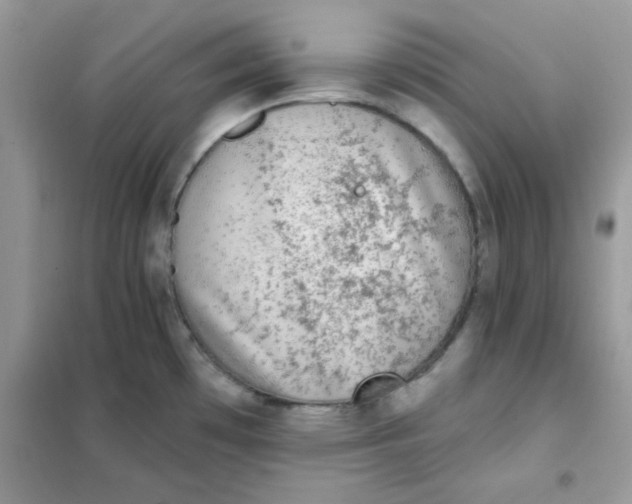 X0000102021481200808011412