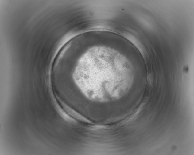 X0000102021482200808011412