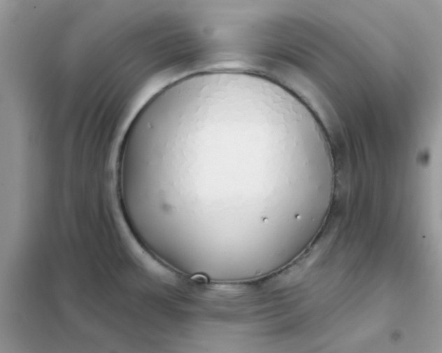 X0000102021483200808011412