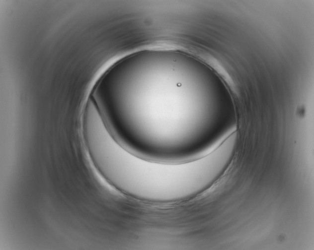 X0000102021484200808011412