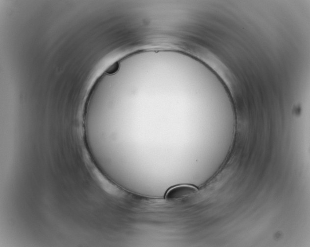 X0000102021485200808011412